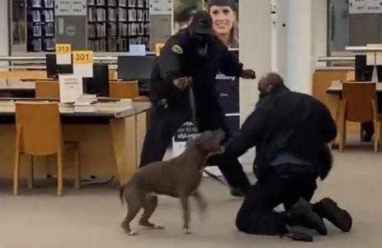 Security guards attacked by dog must see.