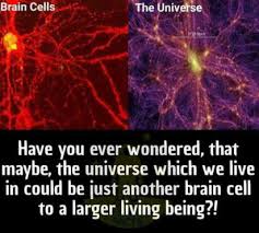 Human Brain Looks Suspiciously Like The Universe