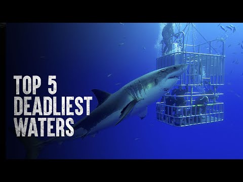 The Most Dangerous Places to Swim 