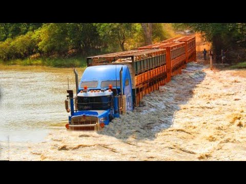 Biggest Road Trains Truck Crossing Flooded River _ Crane Truck Fails _ Trucks Cross Muddy Roads