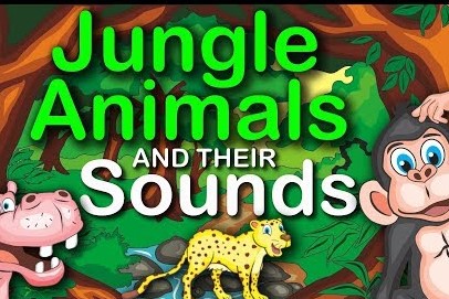 Jungle Animals and their Sounds 