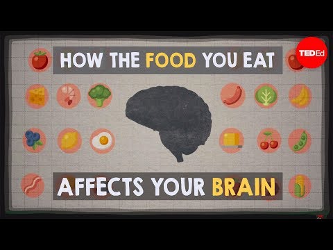 How the food you eat affects your brain 